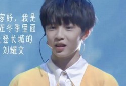 刘耀文爆料视频被剪,真相背后引人深思