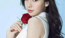 杨颖告娱乐圈爆料者,揭露娱乐圈爆料者背后的真相