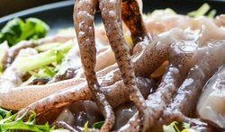鱿鱼网红爆料视频大全,欢乐瞬间，笑料连连