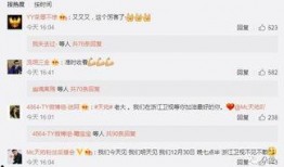 王冕爆料女主播视频大全,揭秘网络直播背后的真相