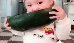 小孩吃免费果冻瓜好吗视频,儿童免费果冻瓜食用安全探讨