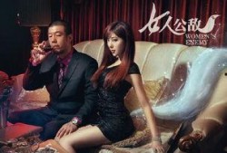 女人公敌4在线观看,复仇之路，爱恨交织的复仇传奇