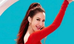 李玟事件爆料视频大全,真相与争议交织