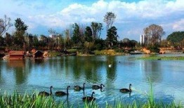 安徽龙湖公园爆料视频最新,揭秘公园美景与神秘事件