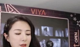 新闻爆料张大奕,揭秘网红电商背后的争议与真相