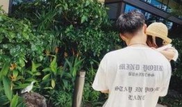 娱乐圈内幕爆料陈赫,真相与谣言的交织