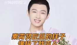 娱乐吃瓜秦霄贤,娱乐吃瓜界的风云人物