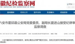 新闻爆料形式的视频,独家内幕曝光