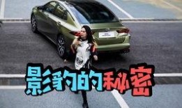 老郭评车爆料了吗视频播放,揭秘视频播放背后的秘密