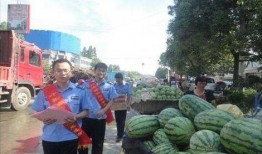 南充网红杜萧吃瓜事件,网络舆论的风暴与反思
