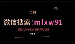 网友爆料墨子视频下载,网友爆料揭秘下载攻略