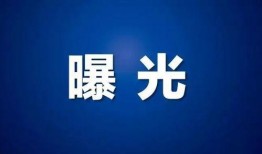 今日德州爆料新闻视频回放,视频揭秘惊人真相！
