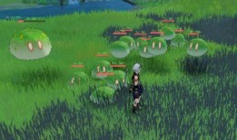 小吉祥草王爆料视频,独家内幕大公开