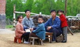 电视剧养父的花样年华在线观看,花样年华中的温情岁月