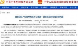 武汉市新闻爆料电话号码,守护城市脉搏的“耳目”