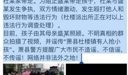 杜楼楼爆料视频大全免费观看,免费观看，揭秘幕后真相