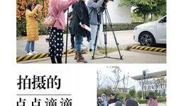 盛世网络剧在线观看