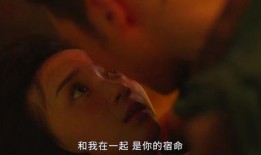 休耻在线观看,揭秘网络热门剧集的魅力所在