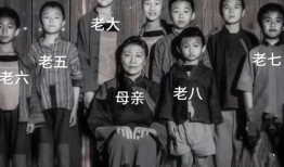 八子在线观看免费完整版,揭秘战火中的兄弟情深