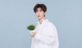 娱乐圈爆料范丞丞贾玲视频,娱乐圈再掀波澜！