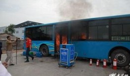青岛公交车爆料新闻,惊现乘客冲突，一幕幕惊心动魄瞬间！