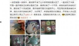 在线观看噜啊噜,网络热门动画的奇幻冒险之旅