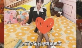 平顶山网红爆料视频大全,揭秘城市生活百态