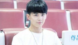 吃瓜爆料热巴吴磊视频,视频爆料引网友热议