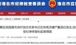 新闻爆料形式的视频,独家内幕曝光