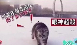 搞笑的爆料视频热门大全,搞笑爆料笑翻天