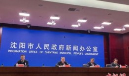 辽宁沈阳新闻爆料,爆料的惊人真相，揭秘背后惊人内幕