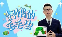 奶酪博士爆料视频大全集,视频大全集深度解析