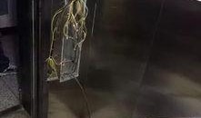 松原最新电梯爆料,揭秘安全隐患与整改措施