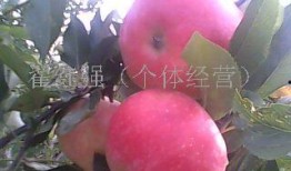 红苹果爆料最新消息,最新热点事件深度解析