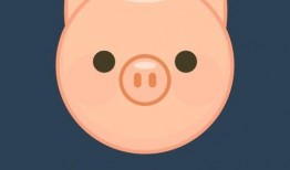 家有小猪仔的爆料视频