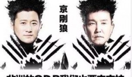 吴刚爆料豆汁视频,带你领略传统美食魅力