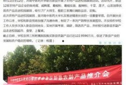 河南农村频道在线观看,尽享田园风光，感受乡土情怀