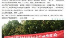 河南农村频道在线观看,尽享田园风光，感受乡土情怀