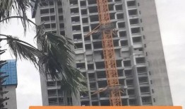 深圳沙井新爆料最新消息,揭秘神秘项目背后的真相