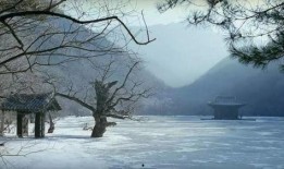 春夏秋冬又一春在线观看,穿越四季的禅意人生