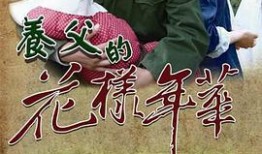 电视剧养父的花样年华在线观看,花样年华中的温情岁月