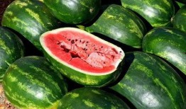 网红吃瓜新鲜事,揭秘娱乐圈最新热点事件