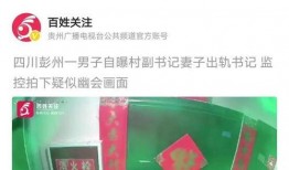 妻子出轨爆料怎么办呢视频,如何应对与自我救赎