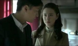 在线观看伪装者全集,谍影重重，兄弟情深