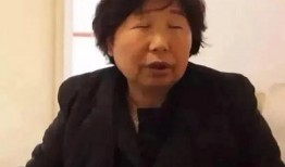 许敏最新爆料,揭开真相背后的惊人内幕