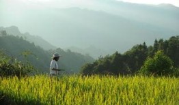 娱乐吃瓜酱拐进山里,拐进神秘山林探险记