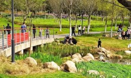 武汉英雄城爆料案件最新,惊天案件背后真相揭晓