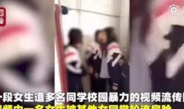 陈培遥舍友爆料视频大全,揭秘校园生活幕后真相