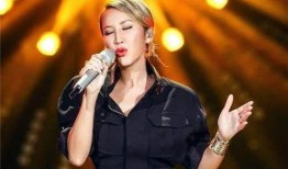 李玟事件爆料视频大全,真相与争议交织