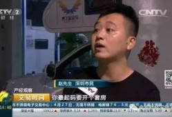 赵先生爆料深圳视频播放,深圳视频播放背后的惊人真相